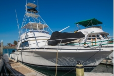 1989 Bertram 50 Convertible Sportfisher